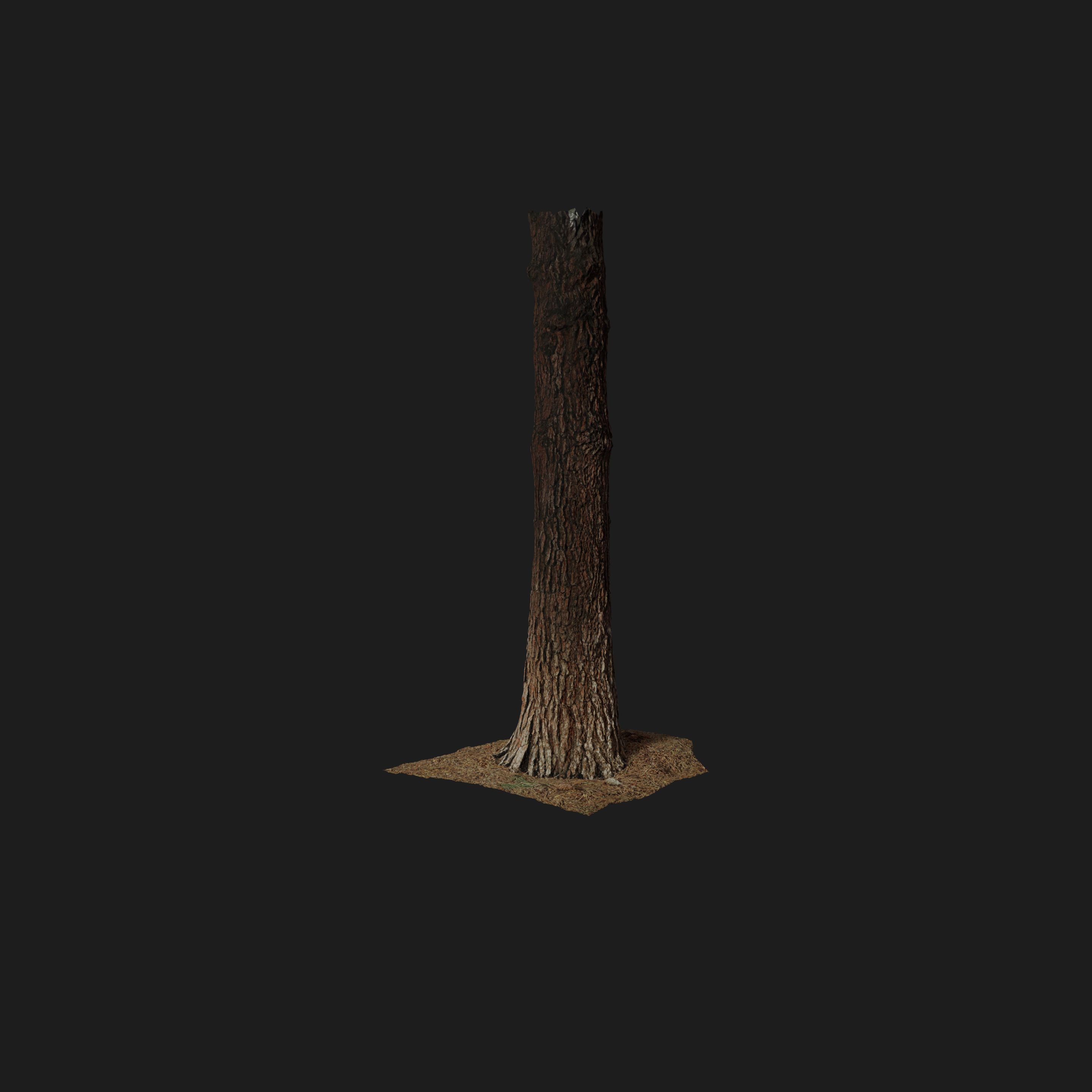 tree base preview image 4